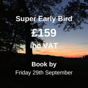 Super Early Bird price panel