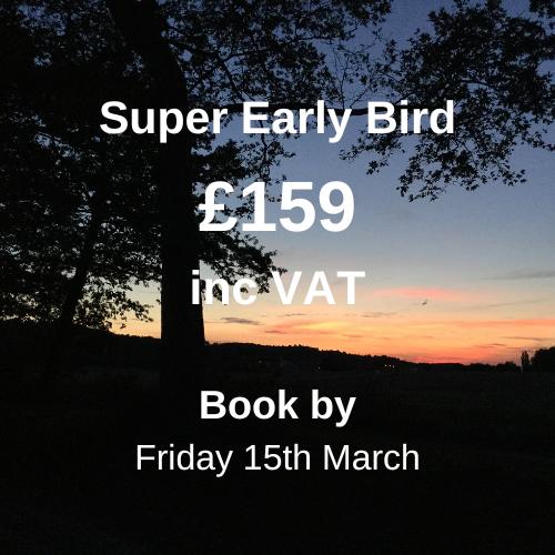 Super Early Bird price panel